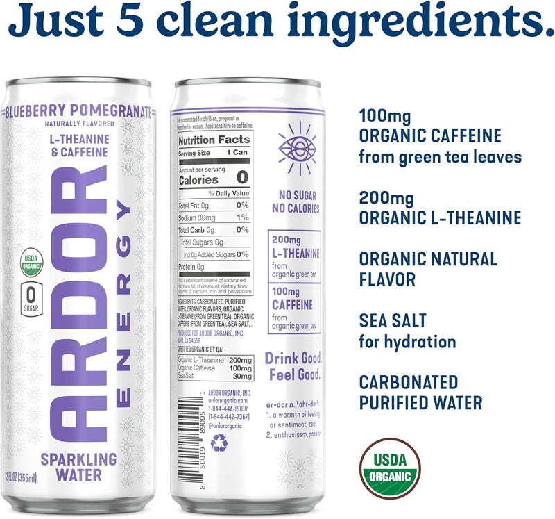 ARDOR ENERGY Sparkling Water - Blueberry Pomegranate 12 Pack - Image 4